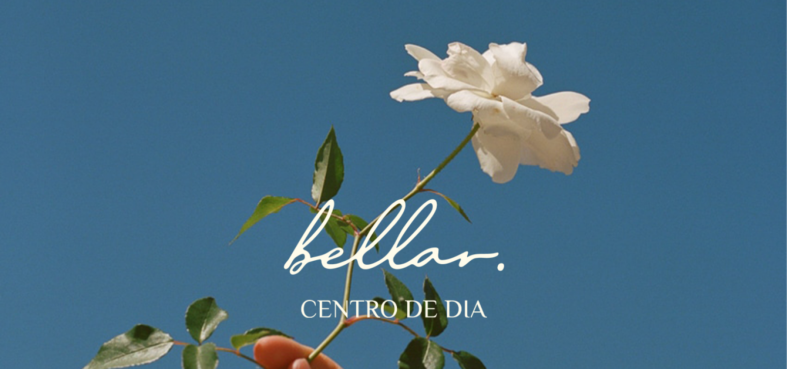 Imagen del proyecto