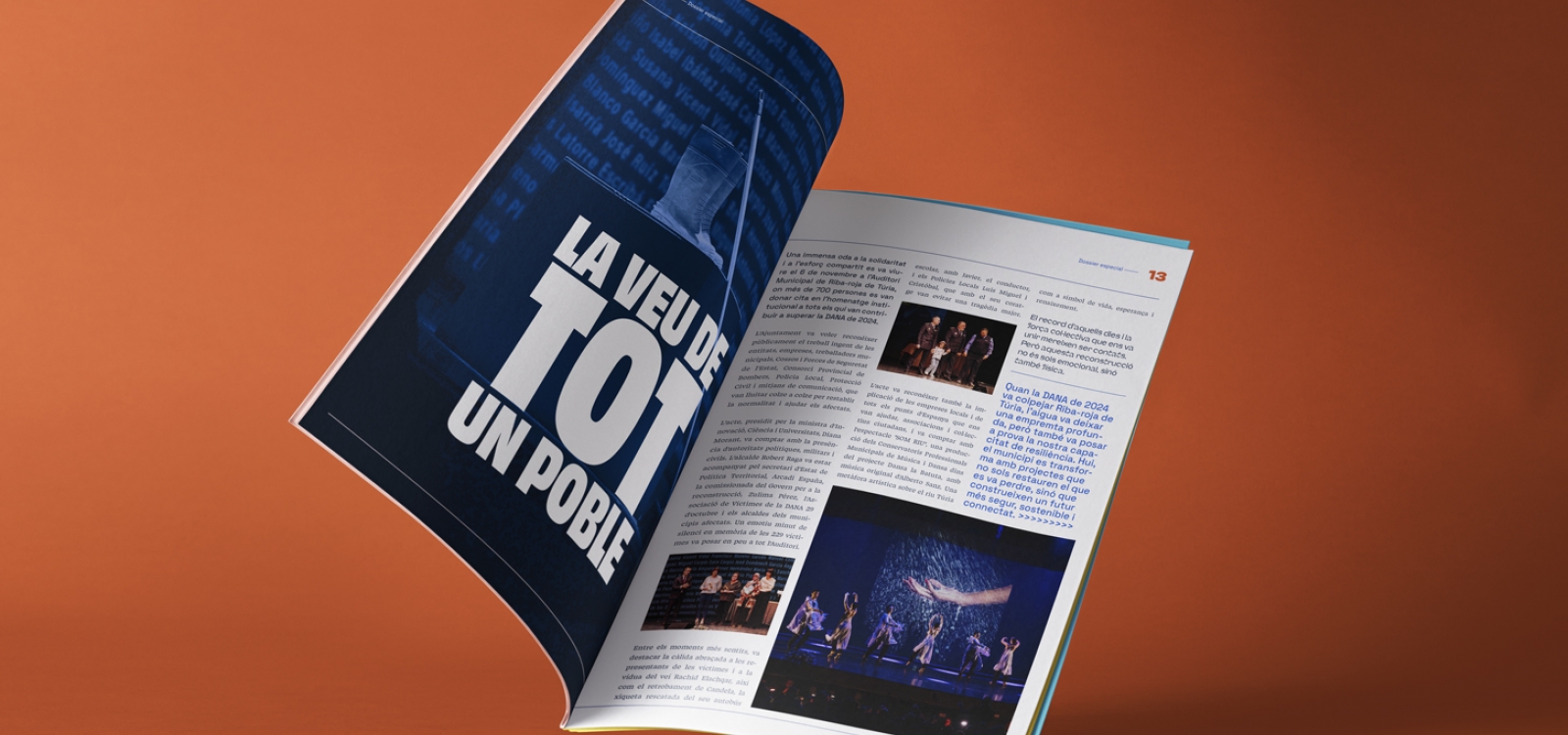 Imagen del proyecto